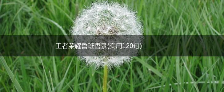王者荣耀鲁班语录(实用120句),第1张