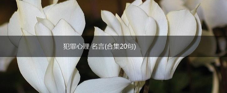 犯罪心理 名言(合集20句),第1张