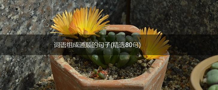 词语组成通顺的句子(精选80句),第1张