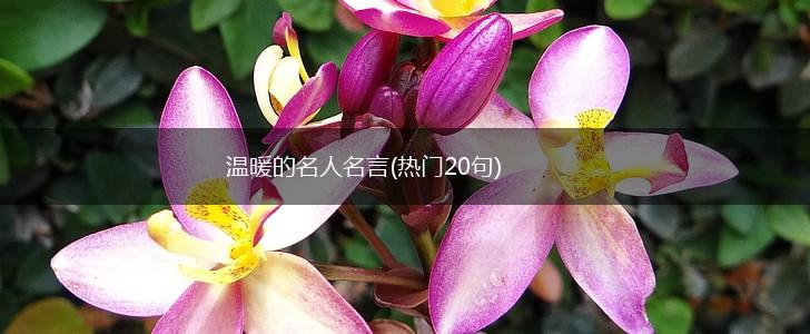 温暖的名人名言(热门20句),第1张