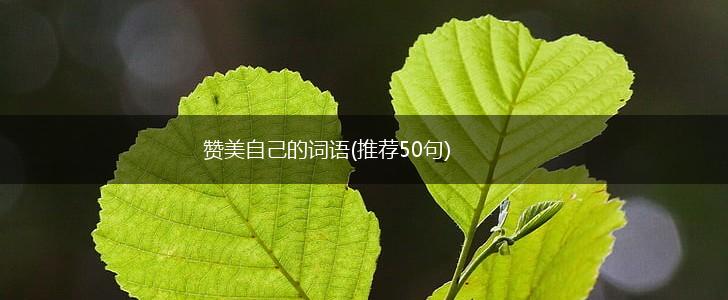 赞美自己的词语(推荐50句),第1张