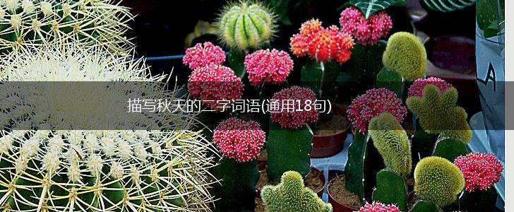 描写秋天的二字词语(通用18句),第1张 描写秋天的二字词语(通用18句),第1张