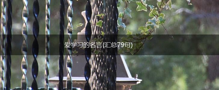 爱学习的名言(汇总79句),第1张 爱学习的名言(汇总79句),第1张