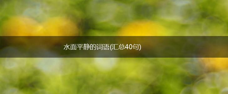 水面平静的词语(汇总40句),第1张