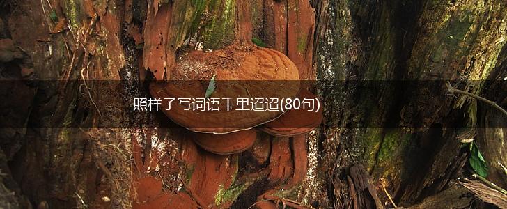 照样子写词语千里迢迢(80句),第1张