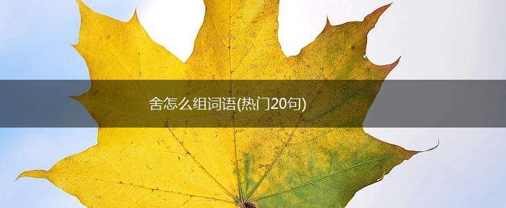 舍怎么组词语(热门20句),第1张