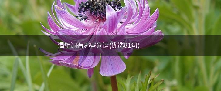 渴组词有哪些词语(优选81句),第1张