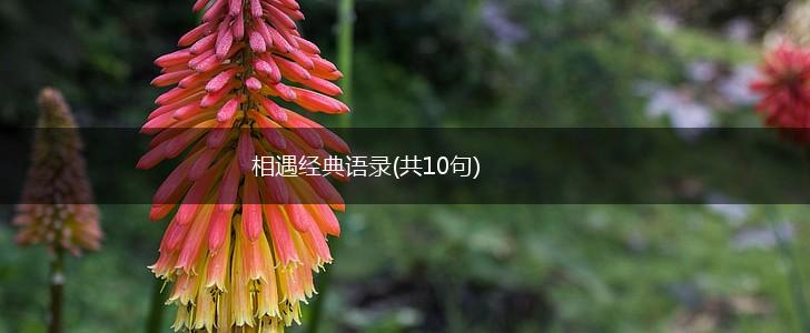 相遇经典语录(共10句),第1张