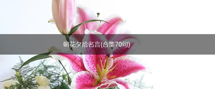 朝花夕拾名言(合集70句),第1张