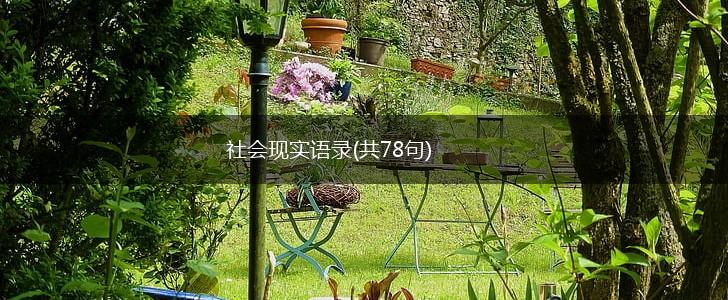 社会现实语录(共78句),第1张