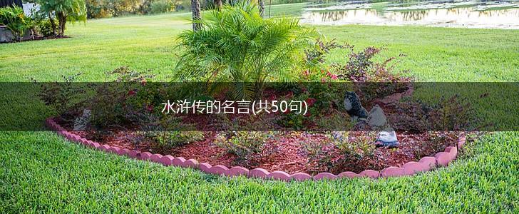 水浒传的名言(共50句),第1张