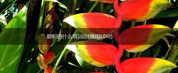 顺利的什么填词语(通用10句),第1张