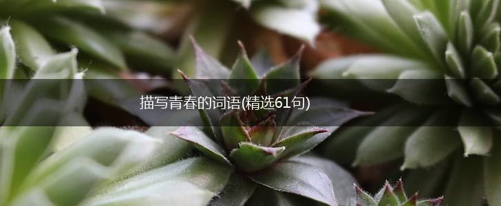 描写青春的词语(精选61句),第1张