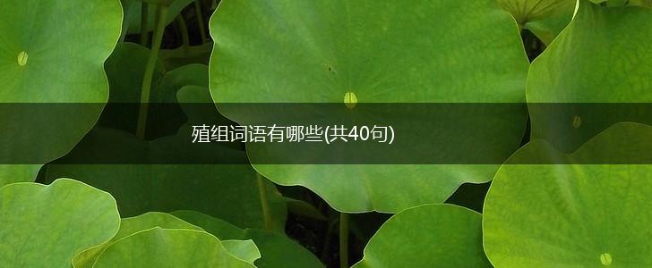 殖组词语有哪些(共40句),第1张