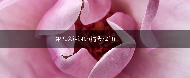 跟怎么组词语(精选72句),第1张 跟怎么组词语(精选72句),第1张