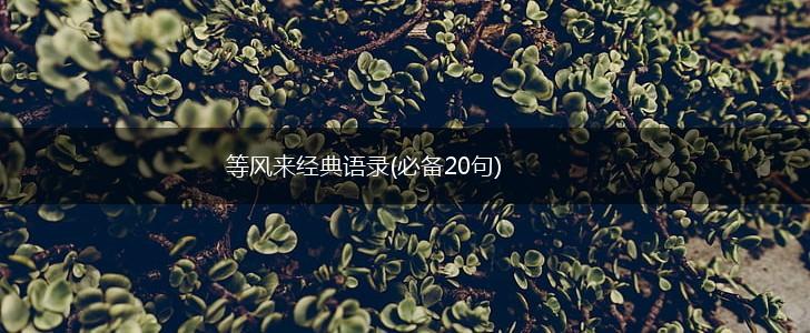 等风来经典语录(必备20句),第1张