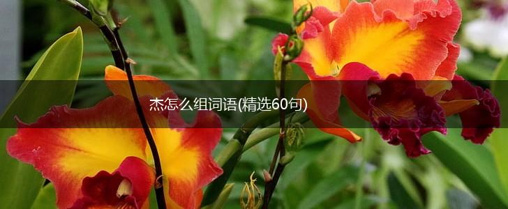 杰怎么组词语(精选60句),第1张