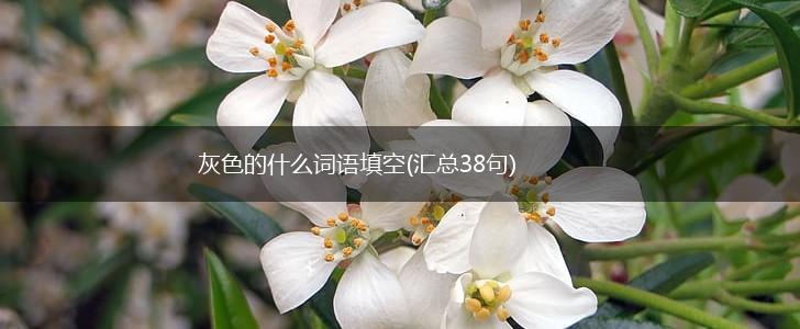灰色的什么词语填空(汇总38句),第1张