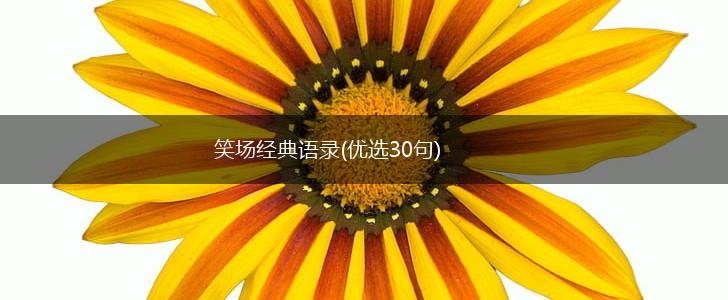 笑场经典语录(优选30句),第1张