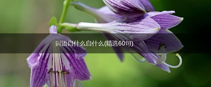 词语自什么自什么(精选60句),第1张