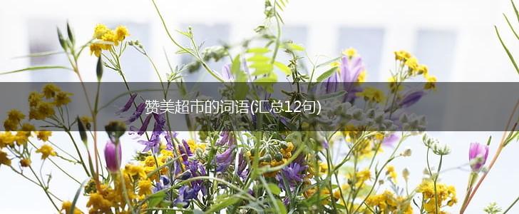 赞美超市的词语(汇总12句),第1张