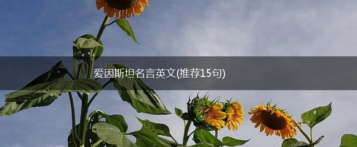 爱因斯坦名言英文(推荐15句),第1张 爱因斯坦名言英文(推荐15句),第1张
