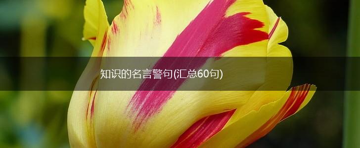 知识的名言警句(汇总60句),第1张