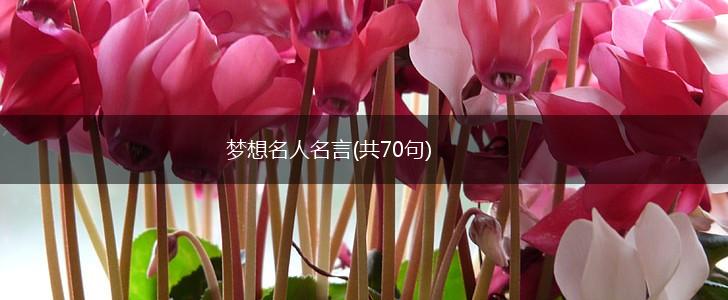 梦想名人名言(共70句),第1张 梦想名人名言(共70句),第1张