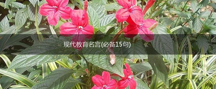 现代教育名言(必备15句),第1张