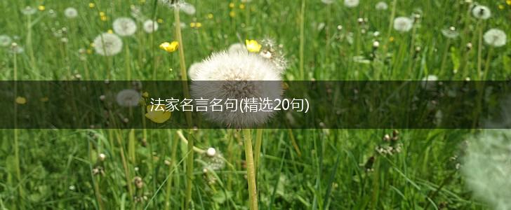 法家名言名句(精选20句),第1张