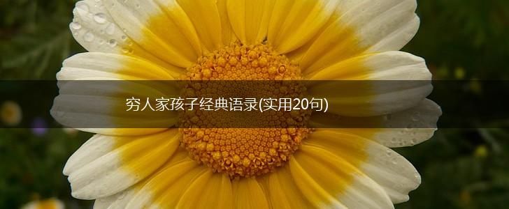 穷人家孩子经典语录(实用20句),第1张