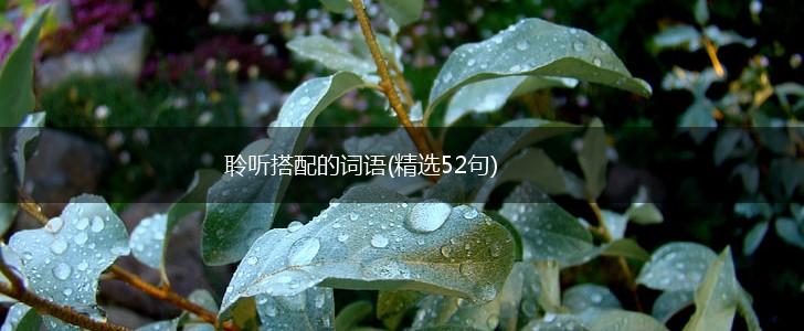 聆听搭配的词语(精选52句),第1张