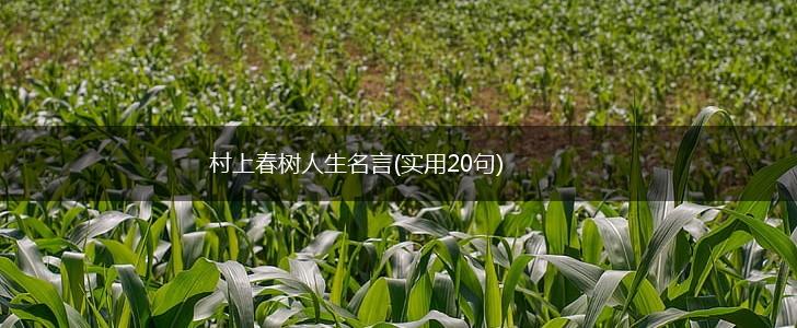 村上春树人生名言(实用20句),第1张