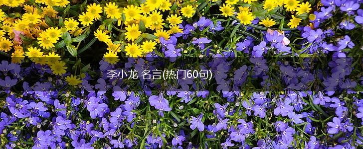 李小龙 名言(热门60句),第1张