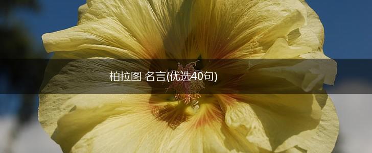 柏拉图 名言(优选40句),第1张