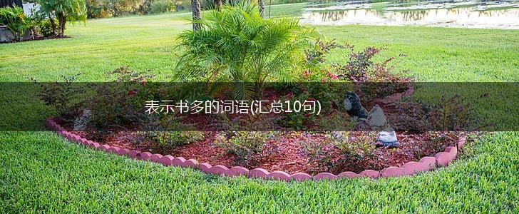 表示书多的词语(汇总10句),第1张