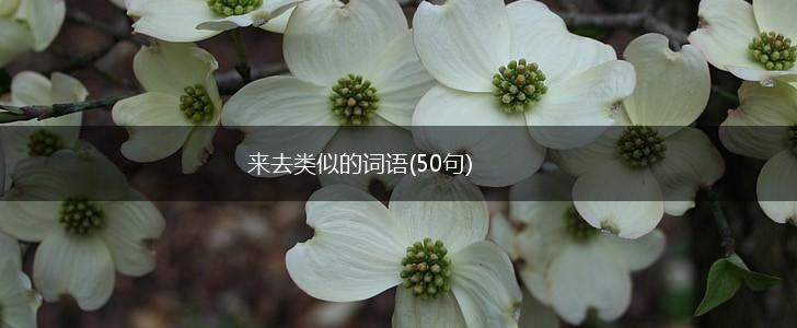 来去类似的词语(50句),第1张