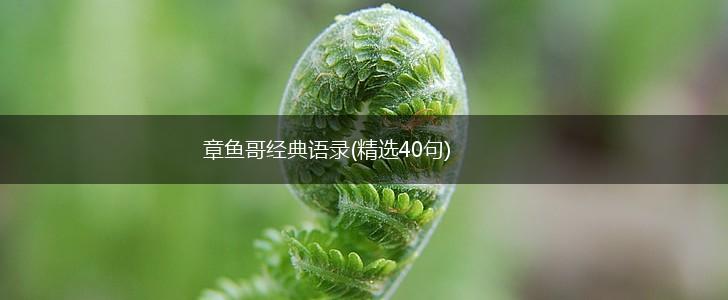 章鱼哥经典语录(精选40句),第1张