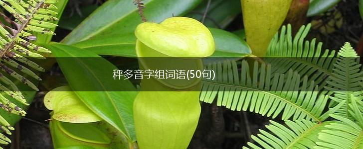 秤多音字组词语(50句),第1张