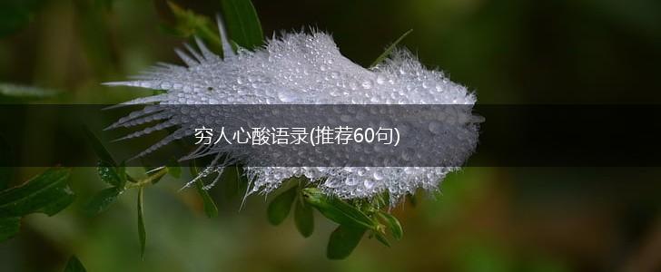 穷人心酸语录(推荐60句),第1张