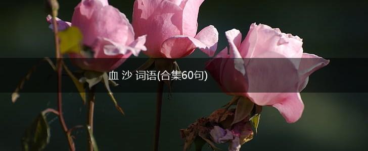 血 沙 词语(合集60句),第1张