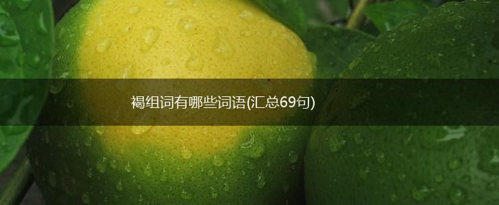 褐组词有哪些词语(汇总69句),第1张