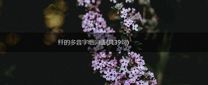 纤的多音字组词语(共39句),第1张 纤的多音字组词语(共39句),第1张