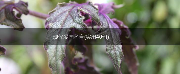 现代爱国名言(实用40句),第1张 现代爱国名言(实用40句),第1张