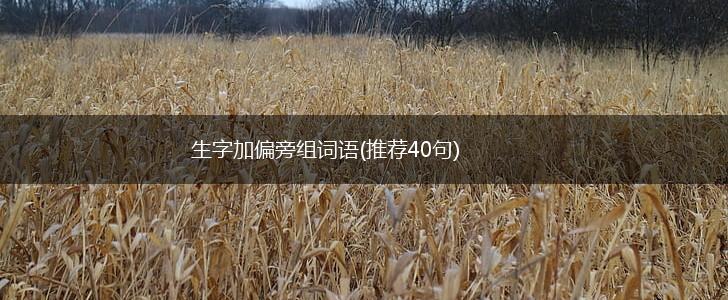 生字加偏旁组词语(推荐40句),第1张