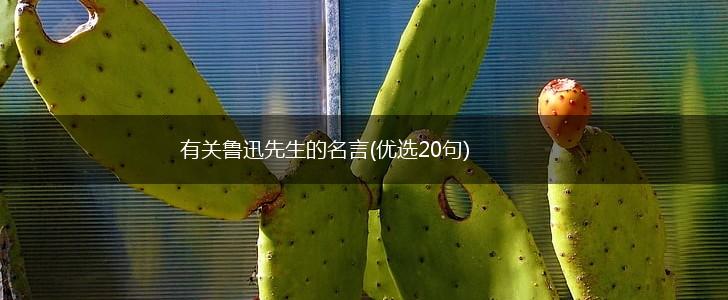 有关鲁迅先生的名言(优选20句),第1张