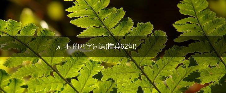 无 不 的四字词语(推荐62句),第1张