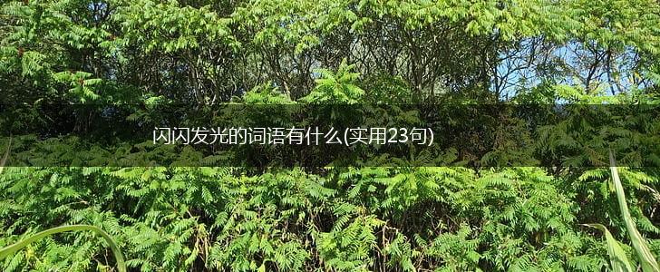 闪闪发光的词语有什么(实用23句),第1张