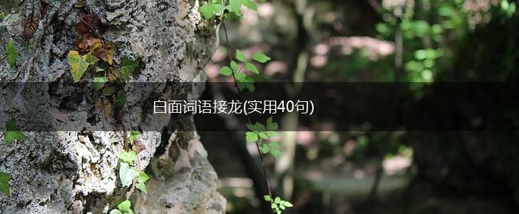 白面词语接龙(实用40句),第1张