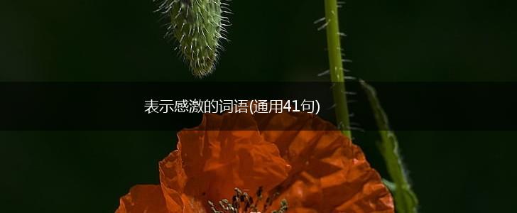 表示感激的词语(通用41句),第1张 表示感激的词语(通用41句),第1张